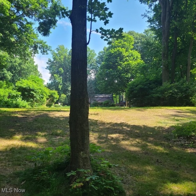 S/L26 Old Mill Rd, Madison, OH 44057 - photo 9