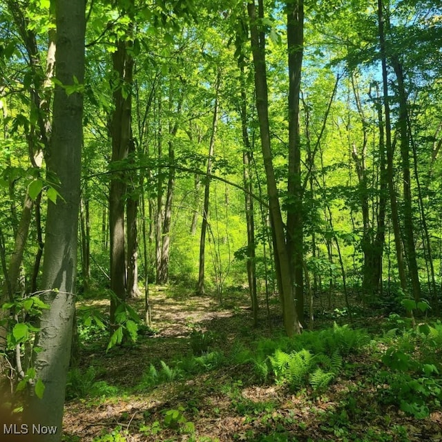 S/L26 Old Mill Rd, Madison, OH 44057 - photo 4