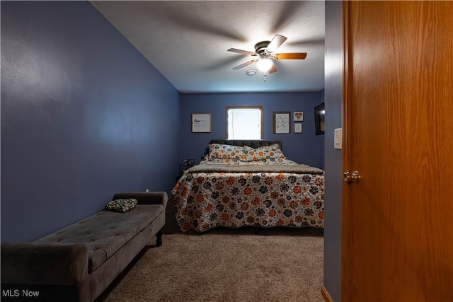659 E Main St, Gnadenhutten, OH 44629 - photo 27