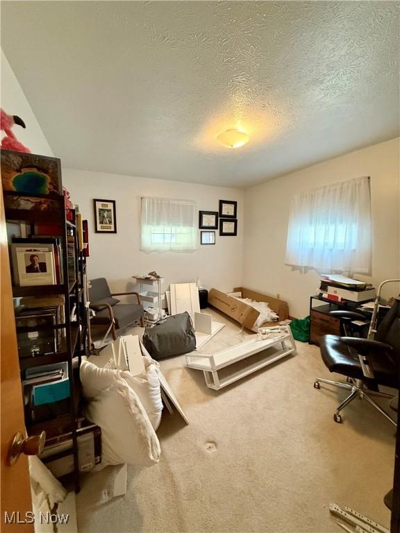 125 Ash Ln, Sistersville, WV 26175 - photo 16