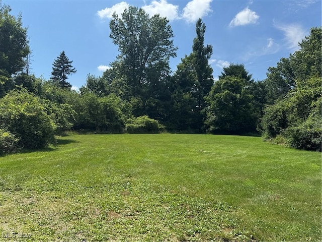 2458 5th Ave, Youngstown, OH 44505 - photo 17