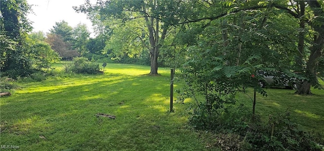 429 8th St, Struthers, OH 44471 - photo 2