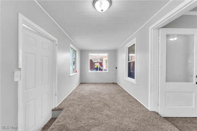 14106 Sylvia Ave, Cleveland, OH 44110 - photo 9