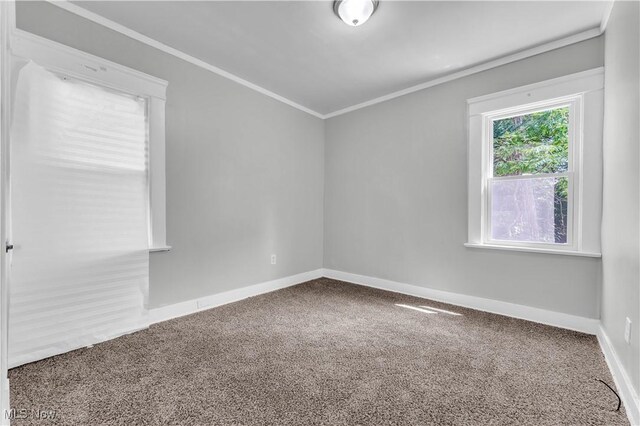 14106 Sylvia Ave, Cleveland, OH 44110 - photo 10