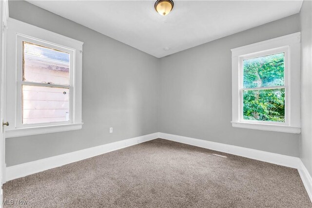 14106 Sylvia Ave, Cleveland, OH 44110 - photo 23