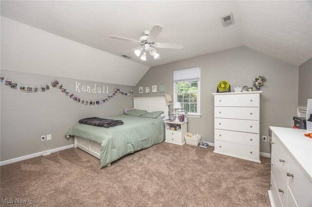 105 Country Meadow Dr, Marietta, OH 45750 - photo 39