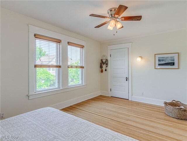 1233 Hall Ave, Lakewood, OH 44107 - photo 19