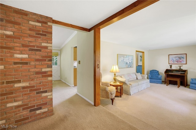 260 Trease Rd, Wadsworth, OH 44281 - photo 5