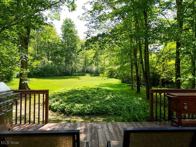 14745 Sleepy Hollow Dr, Novelty, OH 44072 - photo 2