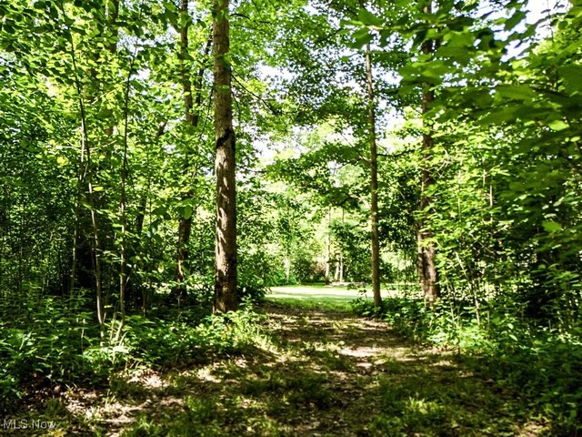 14745 Sleepy Hollow Dr, Novelty, OH 44072 - photo 32