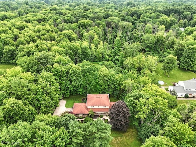 14745 Sleepy Hollow Dr, Novelty, OH 44072 - photo 35