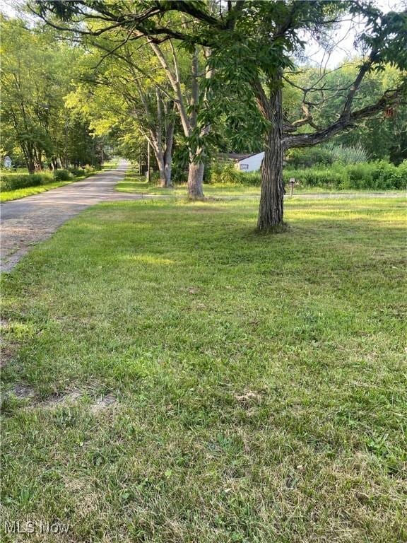 7611 N 7th Ave, Clinton, OH 44216 - photo 5