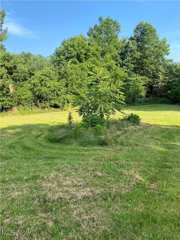 7611 N 7th Ave, Clinton, OH 44216 - photo 10