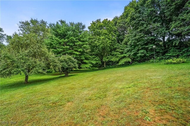 1660 Martin Rd, Mogadore, OH 44260 - photo 11