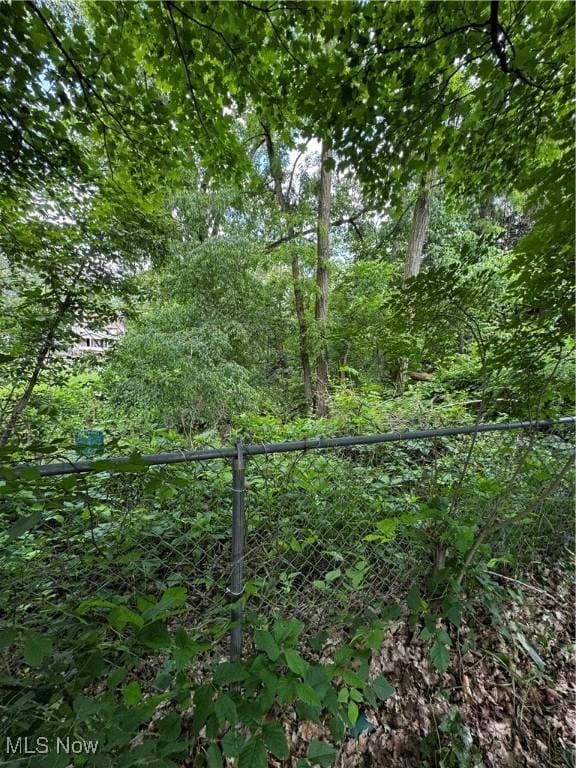 61 S Hartford Ave, Youngstown, OH 44509 - photo 31
