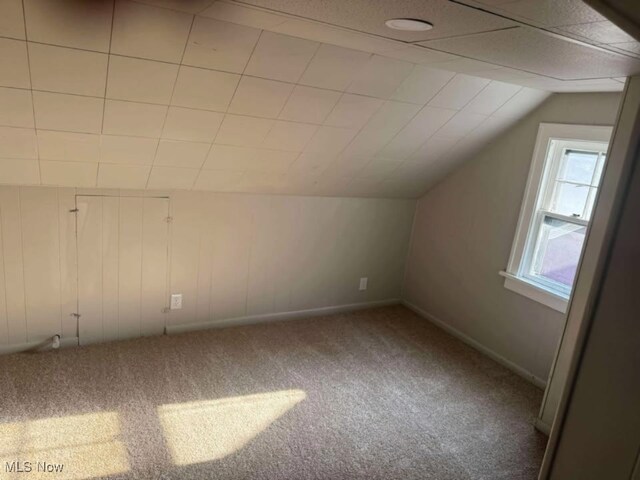 3817 Montevista Rd, Cleveland Heights, OH 44121 - photo 19