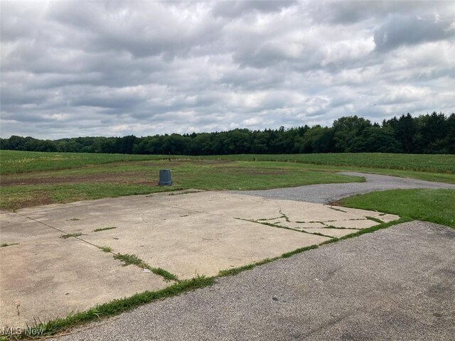 389 State Route 170, East Palestine, OH 44413 - photo 10