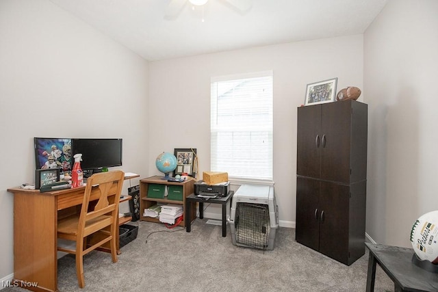 856 Orchard Rd, Willoughby, OH 44094 - photo 16