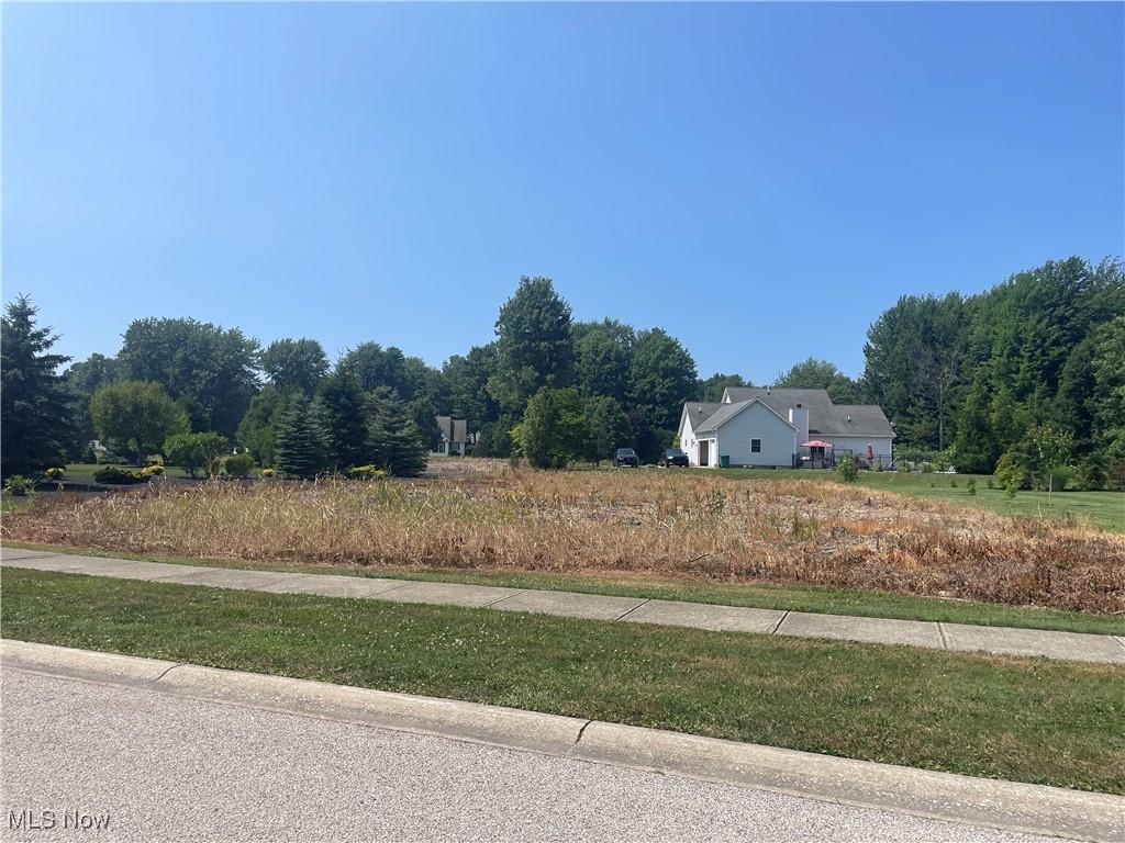 Darlington Ct, Ashtabula, OH 44004 - photo 3