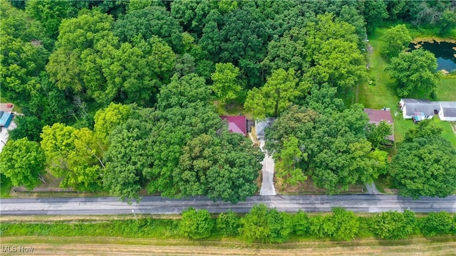 3165 Phalanx Mills Herner Rd, Southington, OH 44470 - photo 29