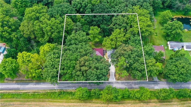 3165 Phalanx Mills Herner Rd, Southington, OH 44470 - photo 30