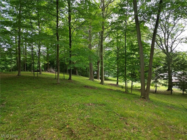 1341 Valley Dr, Akron, OH 44312 - photo 25