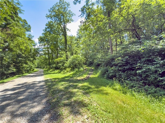 36475 Kinney Ridge Rd, Woodsfield, OH 45734 - photo 4