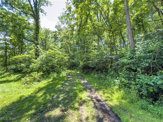 36475 Kinney Ridge Rd, Woodsfield, OH 45734 - photo 5