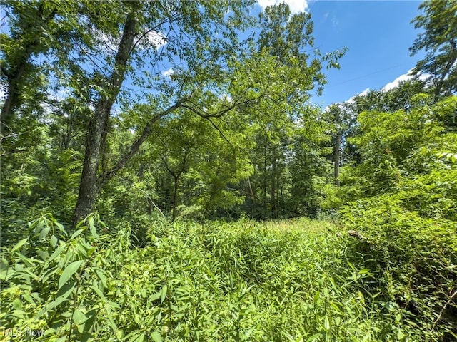 36475 Kinney Ridge Rd, Woodsfield, OH 45734 - photo 42