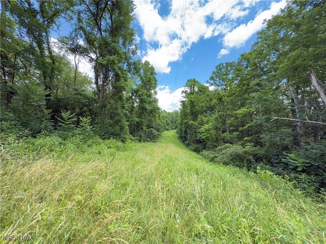 36475 Kinney Ridge Rd, Woodsfield, OH 45734 - photo 43