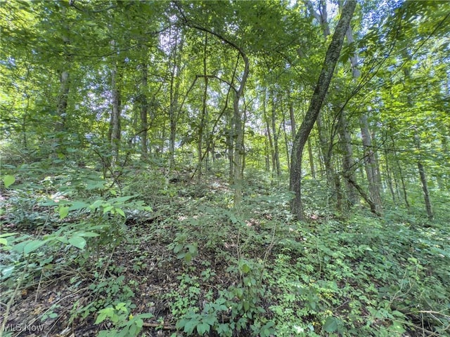 36475 Kinney Ridge Rd, Woodsfield, OH 45734 - photo 44
