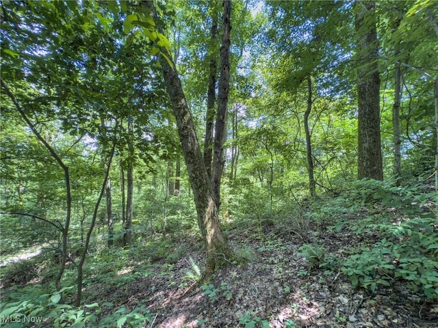 36475 Kinney Ridge Rd, Woodsfield, OH 45734 - photo 45