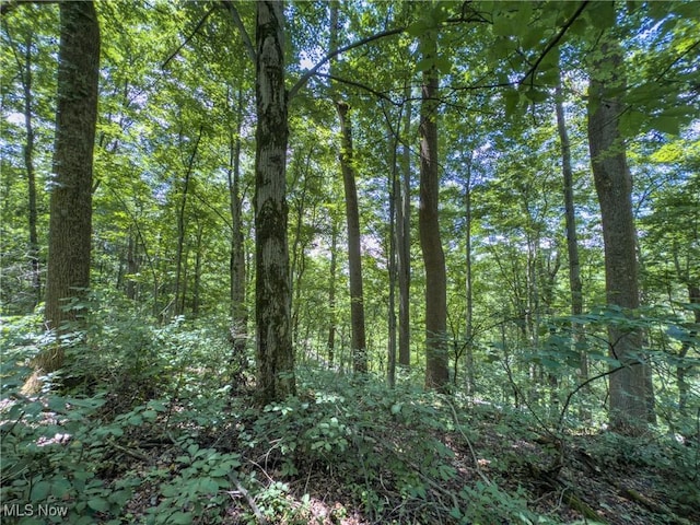 36475 Kinney Ridge Rd, Woodsfield, OH 45734 - photo 46