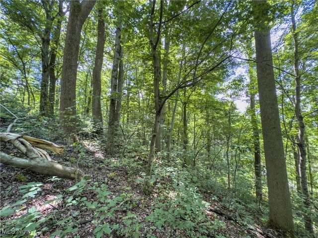 36475 Kinney Ridge Rd, Woodsfield, OH 45734 - photo 47