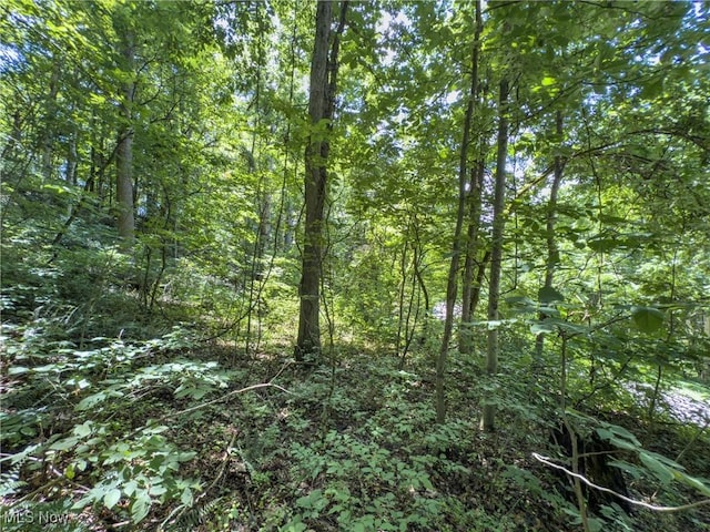 36475 Kinney Ridge Rd, Woodsfield, OH 45734 - photo 49