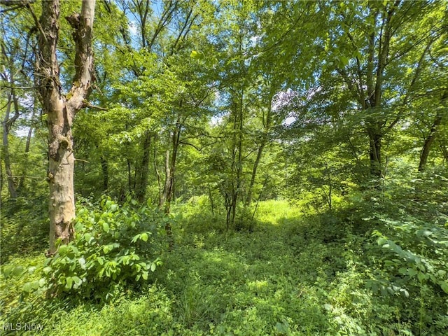 36475 Kinney Ridge Rd, Woodsfield, OH 45734 - photo 41