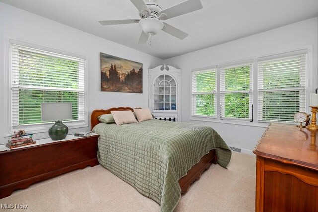 39623 Butternut Ridge Rd, Elyria, OH 44035 - photo 9