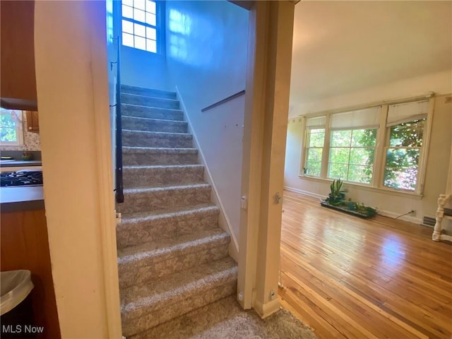 1568 Sunview Rd, Lyndhurst, OH 44124 - photo 23