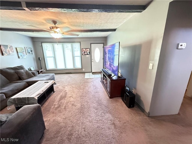 213 Donna Dr, Bloomingdale, OH 43910 - photo 17