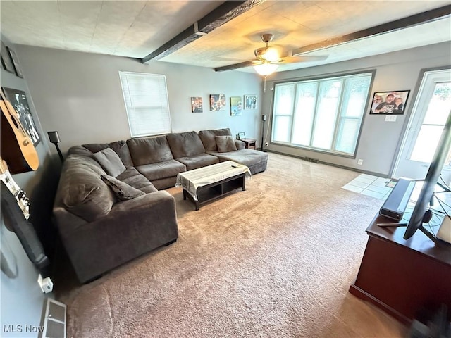 213 Donna Dr, Bloomingdale, OH 43910 - photo 18