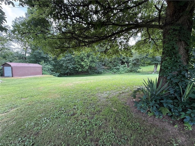 213 Donna Dr, Bloomingdale, OH 43910 - photo 10