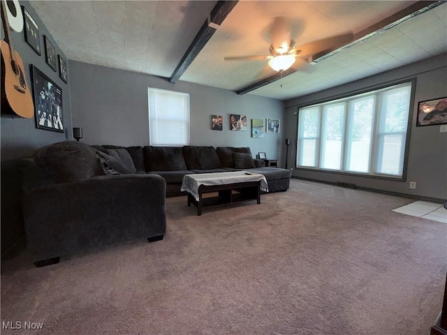 213 Donna Dr, Bloomingdale, OH 43910 - photo 15