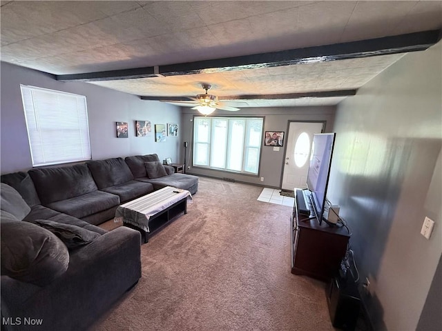 213 Donna Dr, Bloomingdale, OH 43910 - photo 16