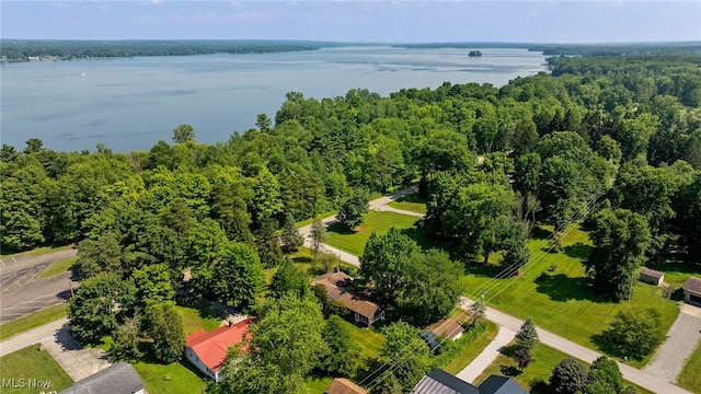 6677 Morningview Dr, Andover, OH 44003 - photo 5