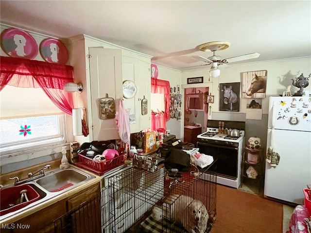 221 Mulberry St, Berea, OH 44017 - photo 2
