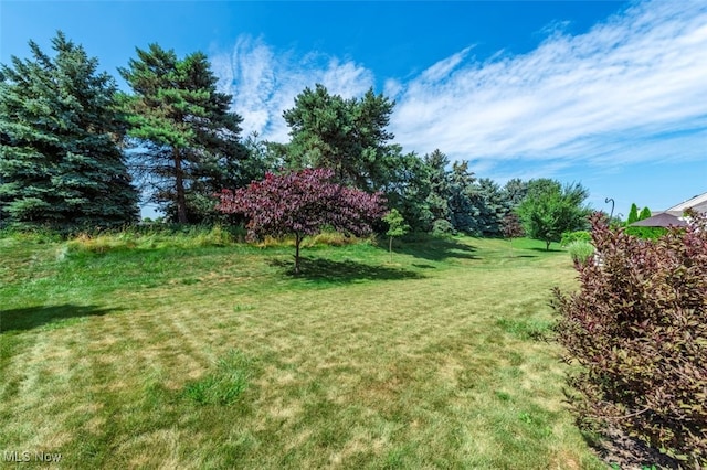 33165 Brookcrest Pl, Avon Lake, OH 44012 - photo 7