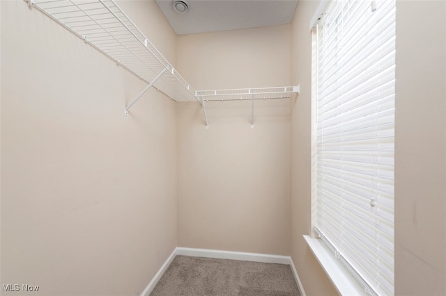 33165 Brookcrest Pl, Avon Lake, OH 44012 - photo 42