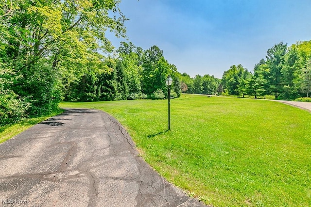 13031 Millstone Dr, Chardon, OH 44024 - photo 2