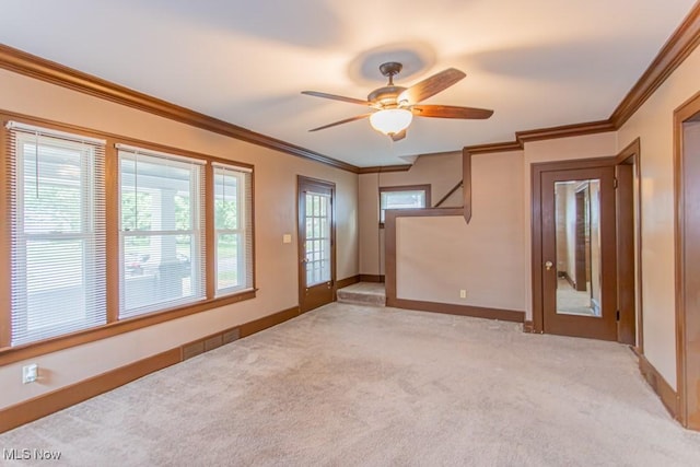 234 Kenilworth Ave NE, Warren, OH 44483 - photo 8