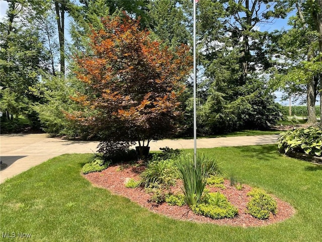 5001 S Jefferson Rd, Shreve, OH 44676 - photo 44